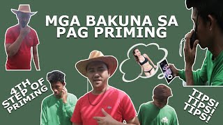 MGA BAKUNA SA PAG PRIMING NG BREEDING MATERIALS screenshot 4