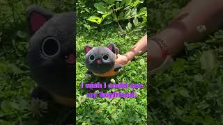 Pumpkin Kitty Learned How To Drive At 8 Years Old