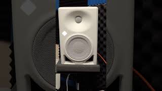 Пополнение в семействе Neumann!