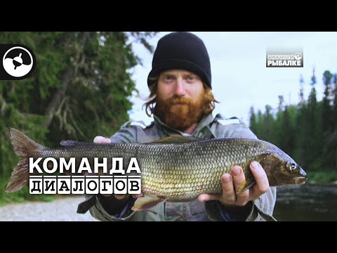 Крупный хариус. Спиннинг и нахлыст | Новые Диалоги