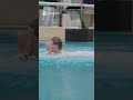 Alcaraz Films Sinner Pool Jump 😆