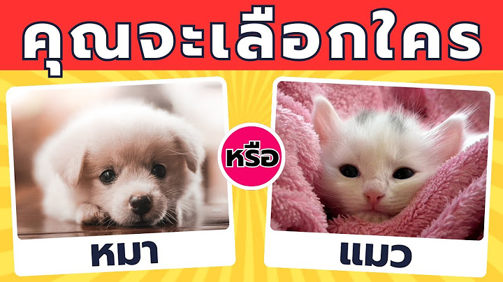 คุณจะเลือกใคร สัตว์ // Would you rather // ตลก - เกม 🐶🐈‍⬛