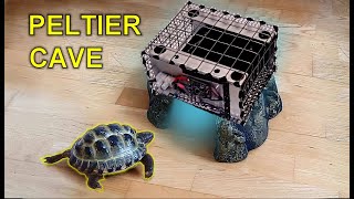 DIY Electrically Cooled Tortoise Hibernation Cave using Peltier Element by SnapTinker 94 views 5 months ago 5 minutes, 31 seconds