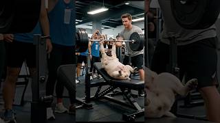Gym Dog 💪🐶 #Shorts #AIVideo #Dog #Workout