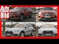 Vergleich: Audi Q5 gegen Mercedes-Benz GLC (2017)