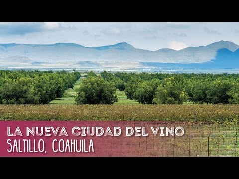 Saltillo, Coahuila, la nueva ciudad del vino