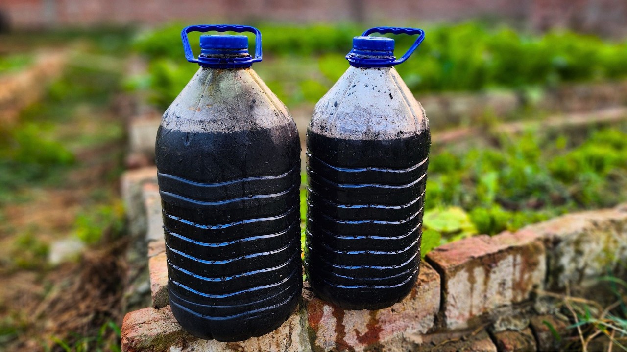 Всего 3 ингредиента и 24 часа для лучшего сада в вашей жизни!