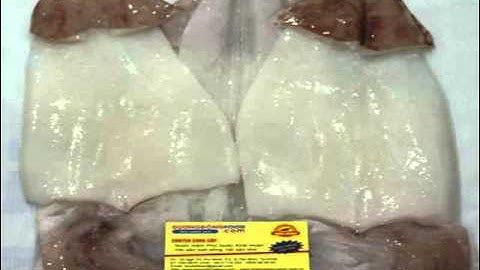 Tìm Chỗ Bán Mực Một Nắng Giá Tốt