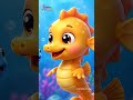 Canción del Pequeño Caballito de Mar - Little Seahorse Song| Rhymes for Kids | Galatta Kids | Shorts