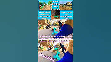 Davangere City Dog Catching Trailer #dog #streetdogrevival #pets #trailer #amazing