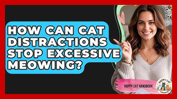 How Can Cat Distractions Stop Excessive Meowing? - Happy Cat Handbook