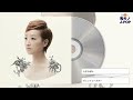 たむらぱん / ジェットコースター (2009)