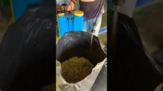 Elaboración de Ensilaje 🐄🌽