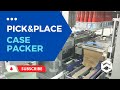 WIN-WIN PACK Pick and Place Case Packer for Bottle Packaging Line/Disinfectant/Case Packer