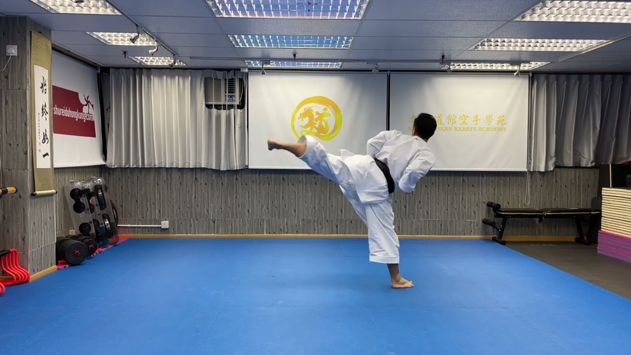 NIJUSHIHO - Shotokan