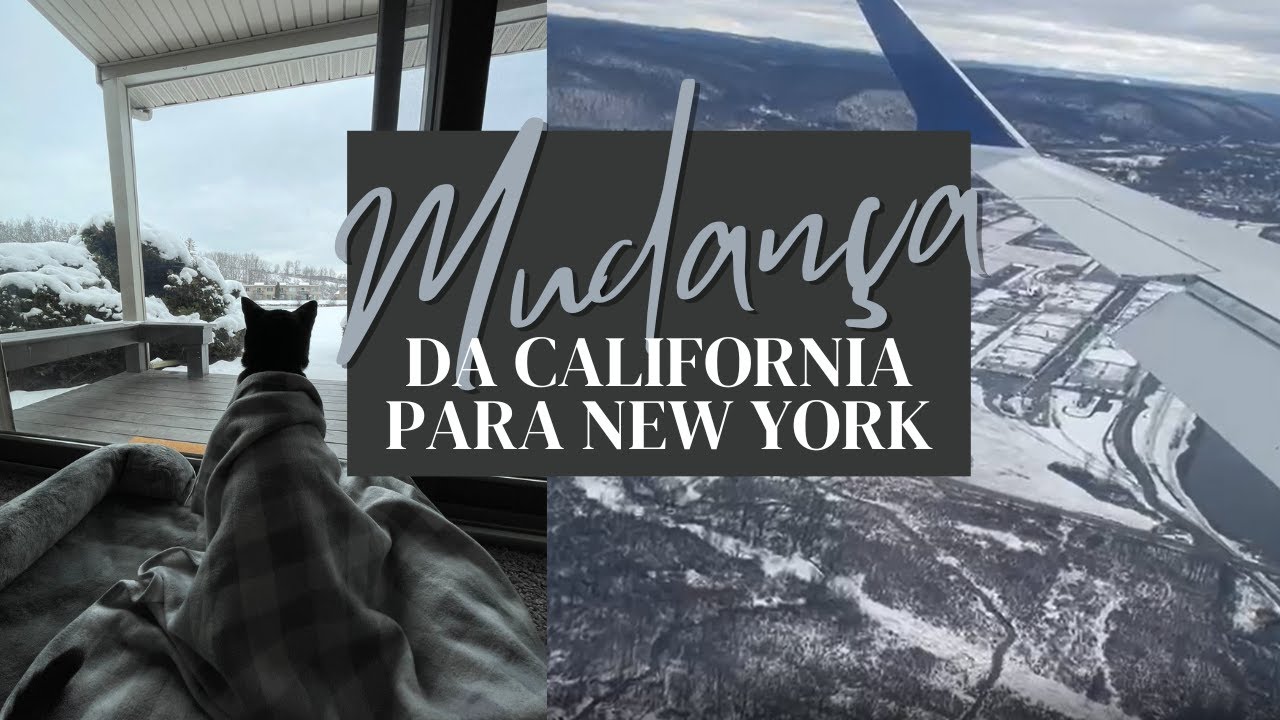 Nossa mudança de estado: indo da Califórnia para o interior de Nova Iorque com nosso gatinho Luke