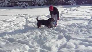 December 2008 026