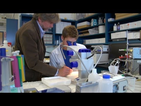 university-of-kentucky-researchers-speak-out:-stop-the-sequester