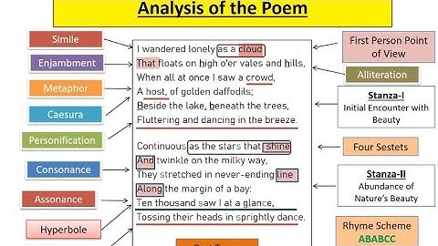 Daffodils by William Wordsworth| Analysis| Literary Devices| I Wandered Lonely as a Cloud