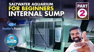 INTERNAL SUMP Filtration for Marine Fish Tank || Acrylic Sump Filtration System