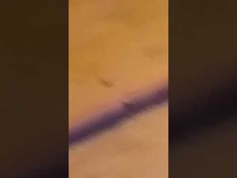 ١ نوفمبر ٢٠٢٤