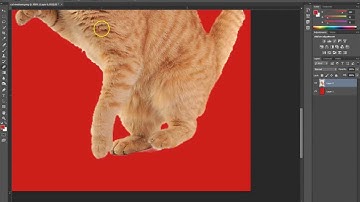 DME130, Animated GIFs, part2, Preparing your assets for animation in Photoshop