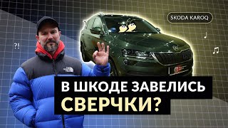 Шкода Карок - обзор и отзыв от владельца!