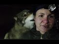 Стрим. Часть 3. Как прошла встреча Лилу и волка Акелы? 🐺