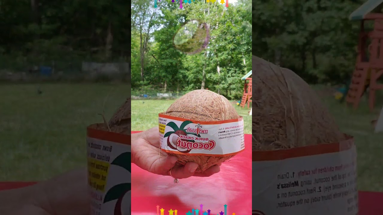 Disney Raya and the Last dragon! Tuktuk funny Moments DIY