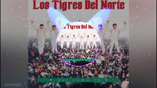 Video thumbnail of "los tigres del norte quiero volar contigo"