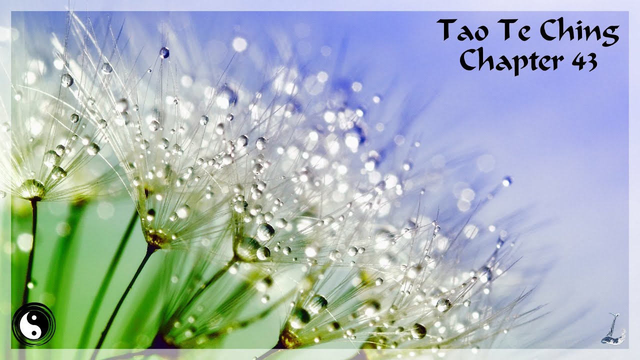 Tao Te Ching, Chapter 43 - YouTube