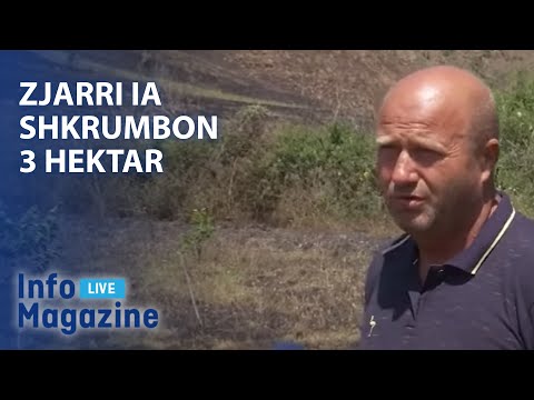 Zjarri ia shkrumbon 3 hektar te mjellura me arre - 02.08.2021 - Klan Kosova