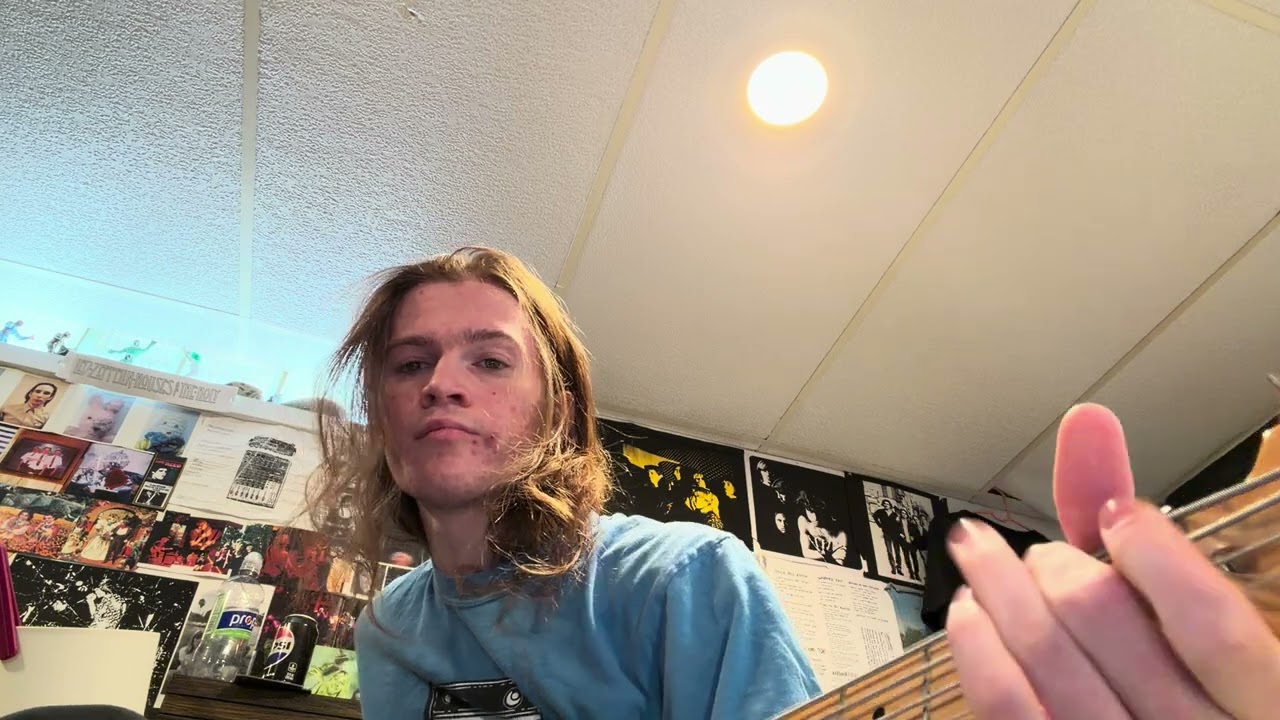 Misanthropic - jonny h (bass guitar turt oriole) 