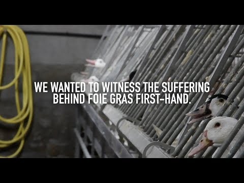 Inside a Foie Gras Farm