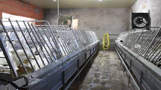 Inside a Foie Gras Farm
