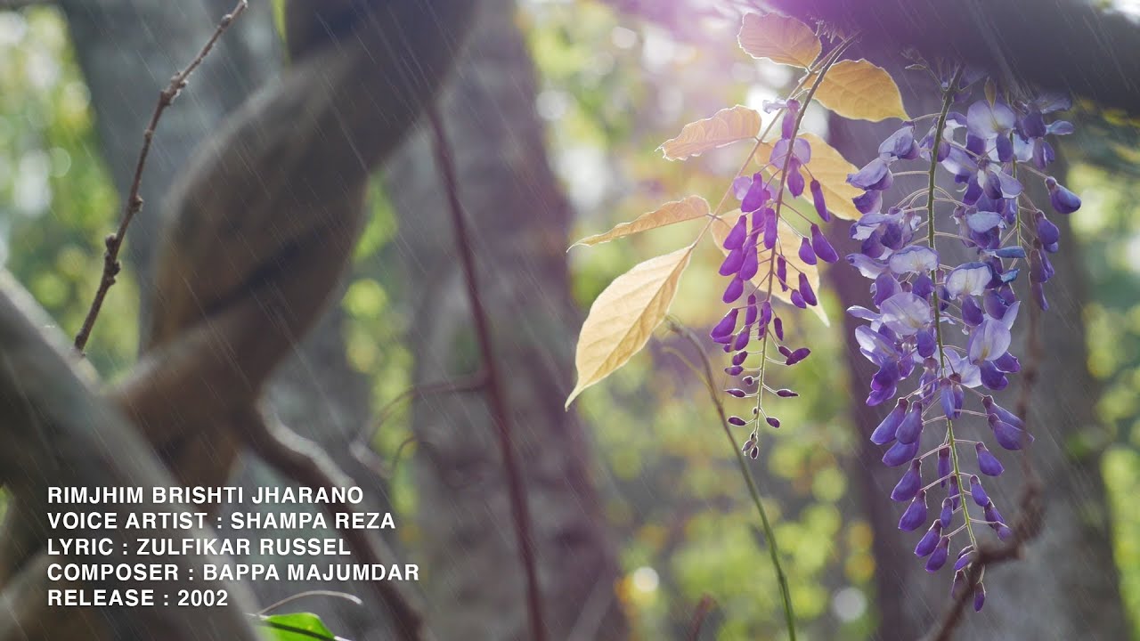 রিমঝিম বৃষ্টি ঝরানো - শম্পা রেজা