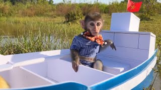 monyet lucu naik perahu, baby monkey, mainan anak anak, mainan anak cewek