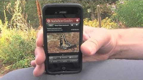 Audubon Guides App Demo