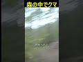 みんなクマにあったらどうするんだ