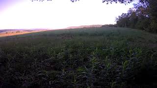 IMAG0157