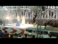 افراح طنطا الفنانه دينا 