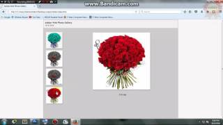 How to create a web gallery in photoshop