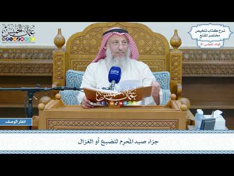 2641 - جزاء صيد المُحرِم للضبع أو الغزال - عثمان الخميس