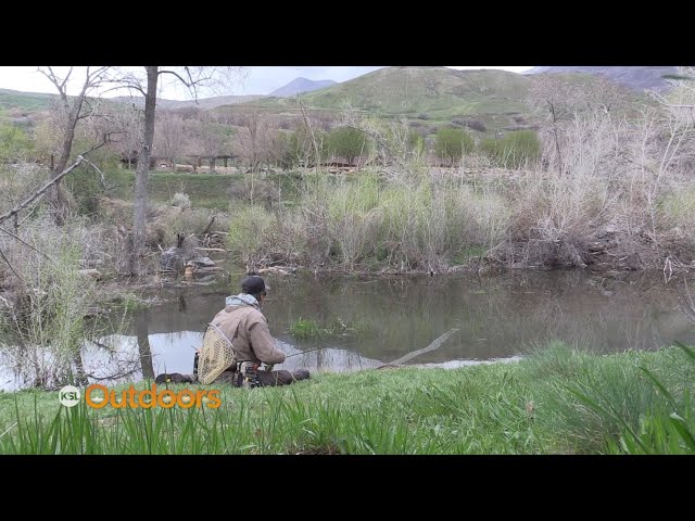 Fish Tech Tip: Spooky Fish in Beaver Ponds and How to Catch Them 