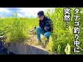 こんな場所に!のんびりタナゴ釣りしてたら突然…