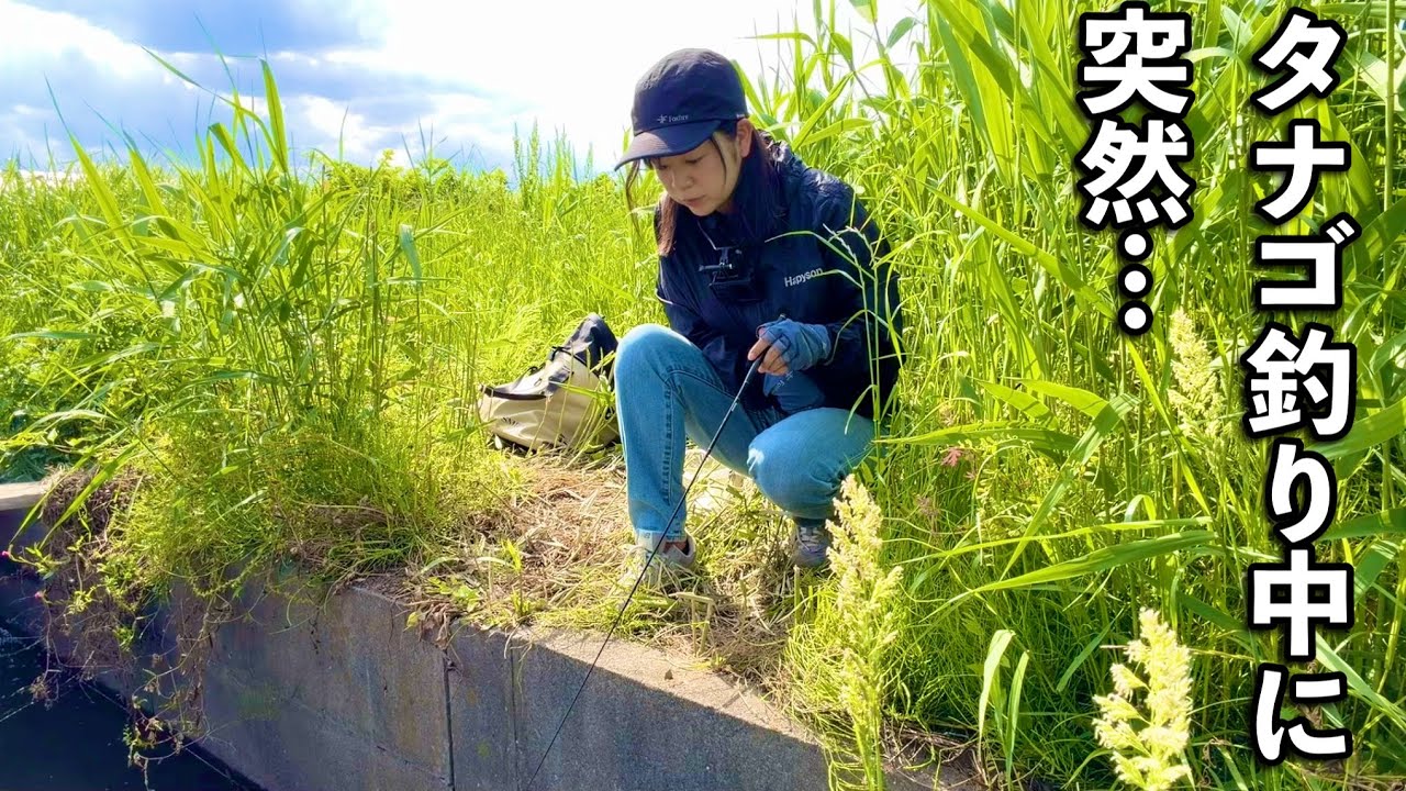 こんな場所に!のんびりタナゴ釣りしてたら突然…