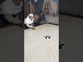 #Trending#Reels#Viral#Videos#Mama Shot Hia#Games#Carrom#Foryou#👍