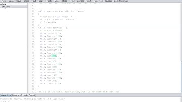 USING METHODS AND PARAMETERS TO MOVE AROUND A TURTLE IN JAVA