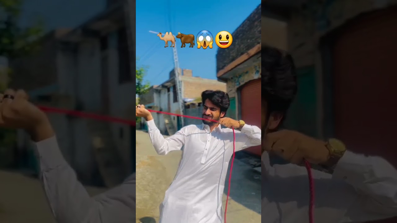 😱🐂🐫♥️🐏 Qurbani 2025 Big animal ||