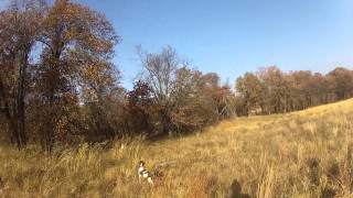 Quail Run HC 11 15 13